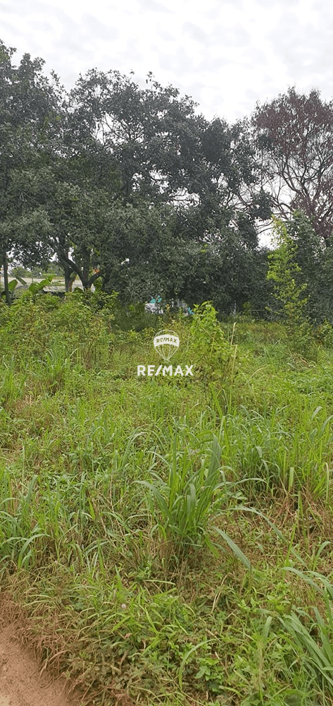 DI JUAL LAHAN KAWASAN CIBINONG BOGOR