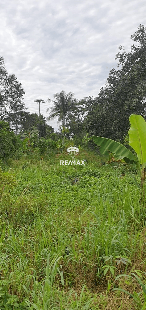 DI JUAL LAHAN KAWASAN CIBINONG BOGOR